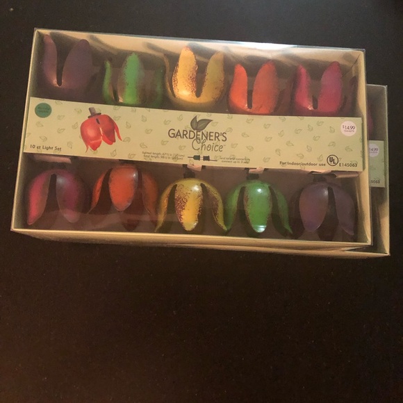 NWT Vintage-y & Funky Indoor/Outdoor Decorative Lights by Gardener’s Choice - Picture 2 of 6